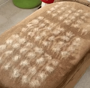 Pelux™ Guante Antipelos para Mascotas